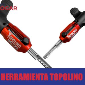 Topolino Cerrajeros